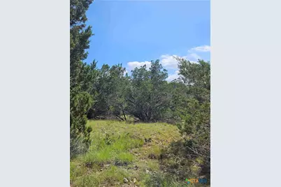 Lot 14 Cielo Springs Drive, Blanco, TX 78606 - Photo 4