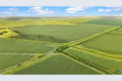 1373 County Road 444, Louise, TX 77455 - Photo 8