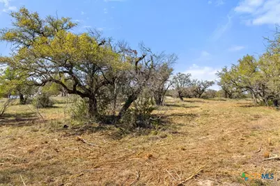 Lot 19 Stone Ridge Mountain Drive, Round Mountain, TX 78663 - Photo 26