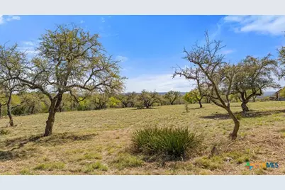 Lot 19 Stone Ridge Mountain Drive, Round Mountain, TX 78663 - Photo 2