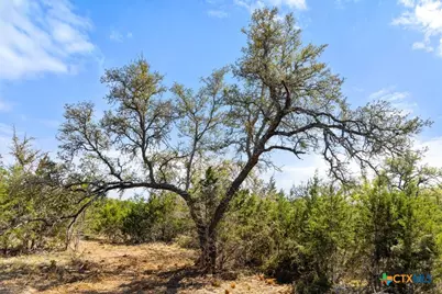 Lot 19 Stone Ridge Mountain Drive, Round Mountain, TX 78663 - Photo 22