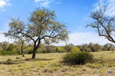 Lot 19 Stone Ridge Mountain Drive, Round Mountain, TX 78663 - Photo 16