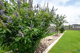 3073 Bella Vita Dr, Nolanville, TX 76559 - Photo 36