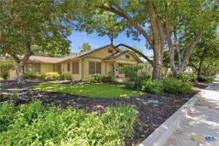 1120 W Hopkins St, San Marcos, TX 78666 - Photo 4