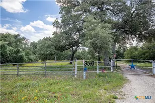 9393 US Hwy 87, Westhoff, TX 77994 - Photo 2