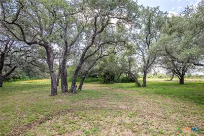 9393 US Highway 87, Westhoff, TX 77994 - Photo 14