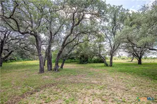9393 US Hwy 87, Westhoff, TX 77994 - Photo 14