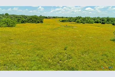 9393 US Highway 87, Westhoff, TX 77994 - Photo 4