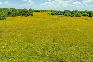 9393 US Hwy 87, Westhoff, TX 77994 - Photo 4