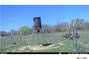 9393 US Hwy 87, Westhoff, TX 77994 - Photo 8