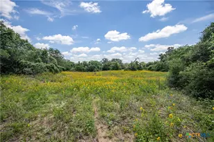 9393 US Hwy 87, Westhoff, TX 77994 - Photo 20