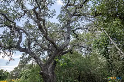 9393 US Highway 87, Westhoff, TX 77994 - Photo 26