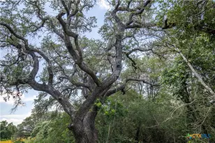 9393 US Hwy 87, Westhoff, TX 77994 - Photo 26