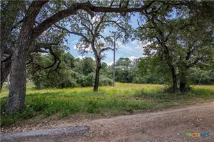 9393 US Hwy 87, Westhoff, TX 77994 - Photo 24