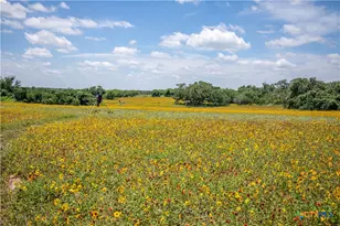 9393 US Hwy 87, Westhoff, TX 77994 - Photo 24