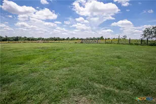 9393 US Hwy 87, Westhoff, TX 77994 - Photo 16