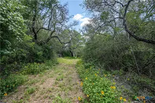 9393 US Hwy 87, Westhoff, TX 77994 - Photo 18