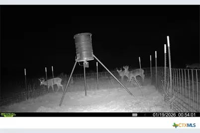 9393 US Highway 87, Westhoff, TX 77994 - Photo 12