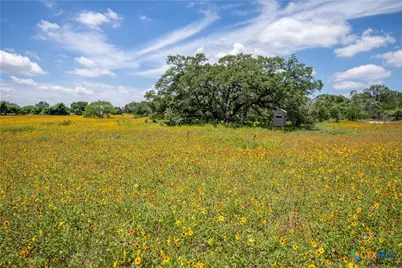 9393 US Highway 87, Westhoff, TX 77994 - Photo 28