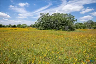 9393 US Hwy 87, Westhoff, TX 77994 - Photo 28