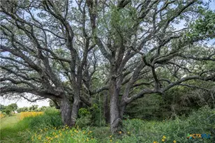 9393 US Hwy 87, Westhoff, TX 77994 - Photo 22