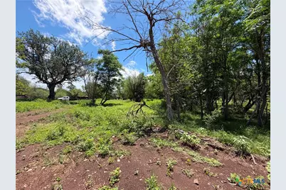 280 Caney Creek Road, New Braunfels, TX 78130 - Photo 20