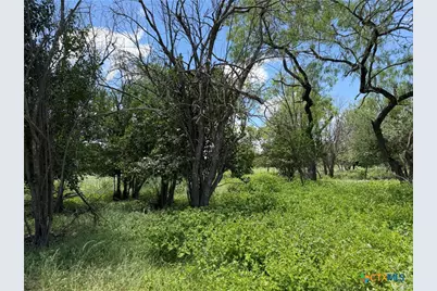 280 Caney Creek Road, New Braunfels, TX 78130 - Photo 26