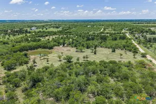 3710 Dry Creek Rd, Lockhart, TX 78644 - Photo 4