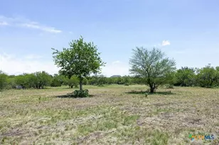 3710 Dry Creek Rd, Lockhart, TX 78644 - Photo 14