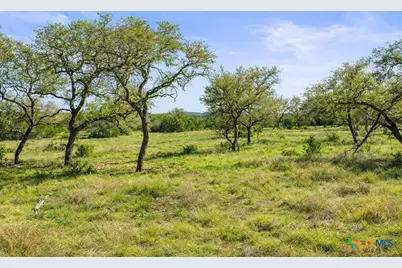 0 Live Oak Ranch, Johnson City, TX 78636 - Photo 6