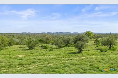 0 Live Oak Ranch, Johnson City, TX 78636 - Photo 8