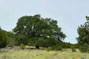 Tbd County Road 3270, Kempner, TX 76539 - Photo 2