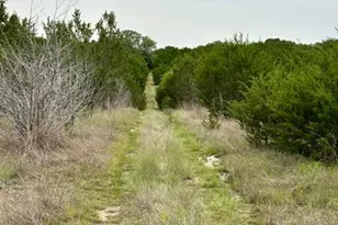Tbd County Road 3270, Kempner, TX 76539 - Photo 10