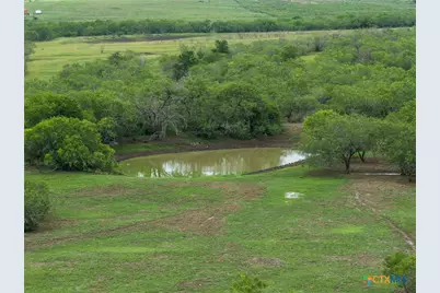 1190 Dickerson Road, Lockhart, TX 78644 - Photo 10