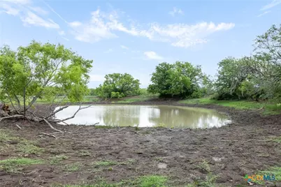 1190 Dickerson Road, Lockhart, TX 78644 - Photo 8