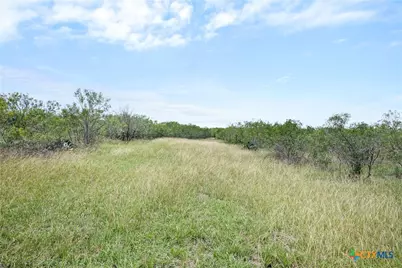 1190 Dickerson Road, Lockhart, TX 78644 - Photo 10