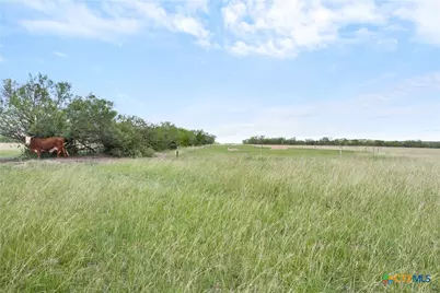 1190 Dickerson Road, Lockhart, TX 78644 - Photo 12
