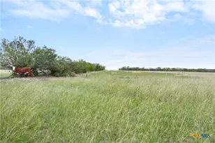 1190 Dickerson Rd, Lockhart, TX 78644 - Photo 12