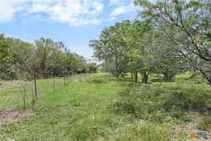 1190 Dickerson Rd, Lockhart, TX 78644 - Photo 4