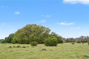 1312 Fm 581 Hwy, Lometa, TX 76853 - Photo 42