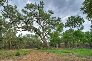 11916 Jim Bridger Dr, Austin, TX 78737 - Photo 24