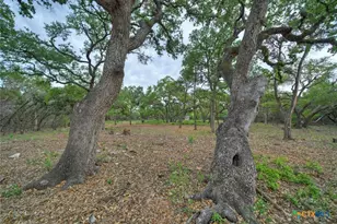 11916 Jim Bridger Dr, Austin, TX 78737 - Photo 22