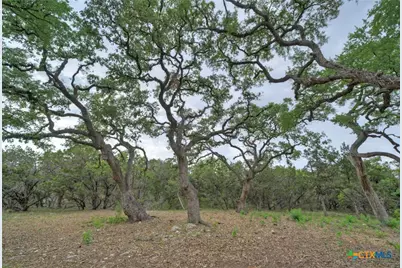 11916 Jim Bridger Drive, Austin, TX 78737 - Photo 22