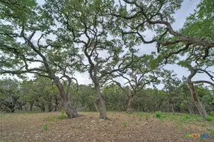 11916 Jim Bridger Dr, Austin, TX 78737 - Photo 22