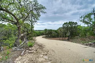 11916 Jim Bridger Dr, Austin, TX 78737 - Photo 10