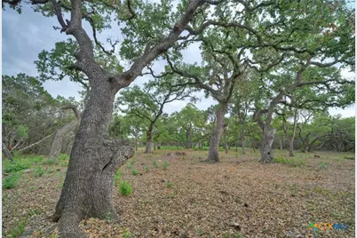 11916 Jim Bridger Drive, Austin, TX 78737 - Photo 26