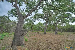 11916 Jim Bridger Dr, Austin, TX 78737 - Photo 26