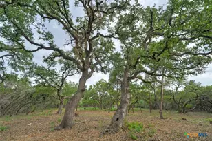 11916 Jim Bridger Dr, Austin, TX 78737 - Photo 28
