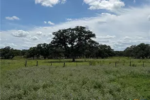 55 Rice Rd, Yoakum, TX 77995 - Photo 10