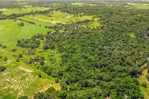 337 Private Rd 1015, Hallettsville, TX 77964 - Photo 16